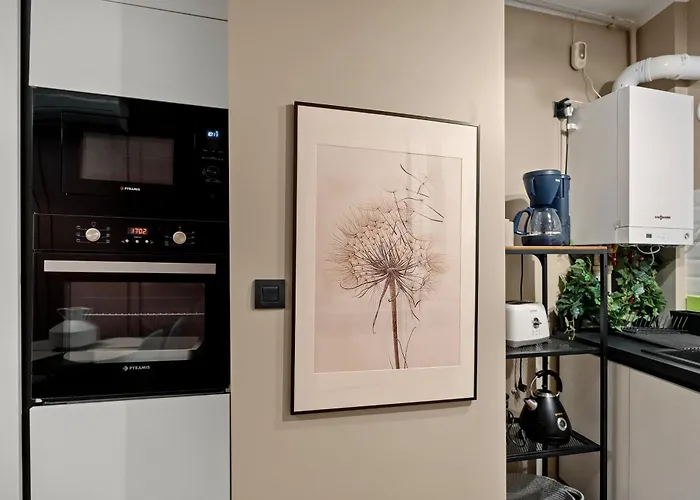 Tova Pearl - Cozy, Modern 2br Apt, Dt, Ultracentral, Chabad Across Street, 20 Min Walk To Old Town アパート